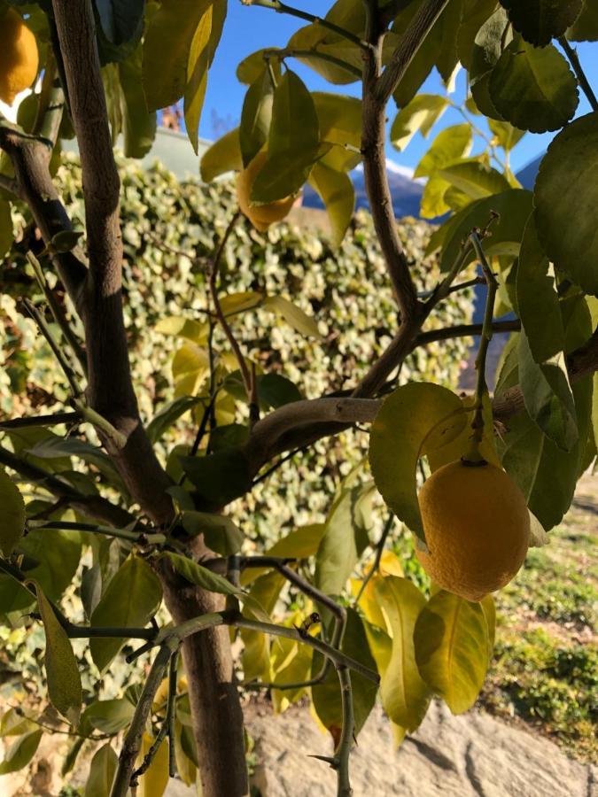 Agriturismo Cavria Castione Andevenno Eksteriør bilde